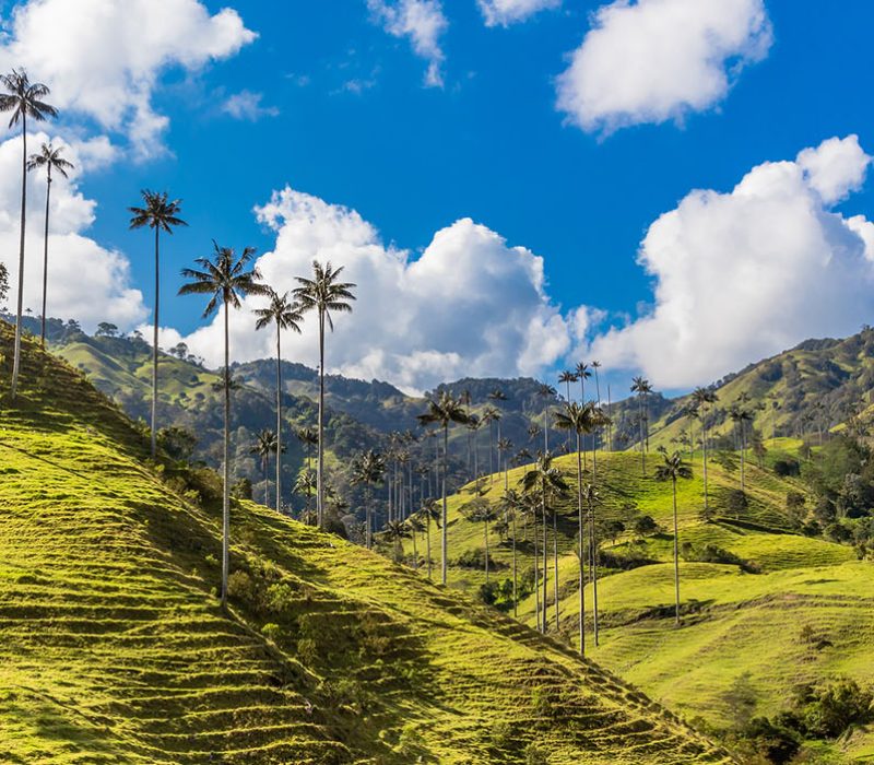 Colombia