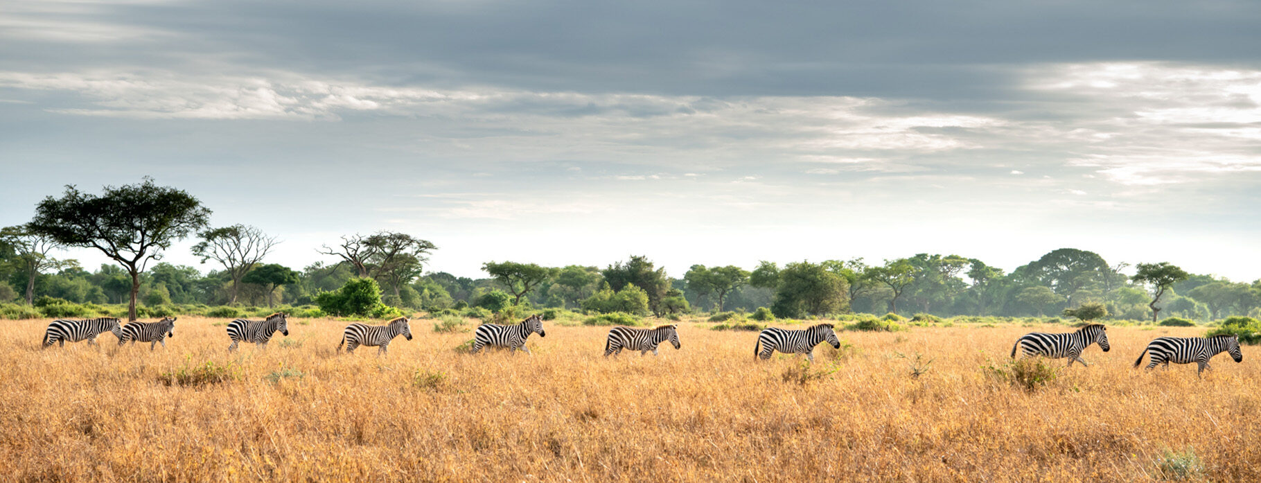 Tanzania