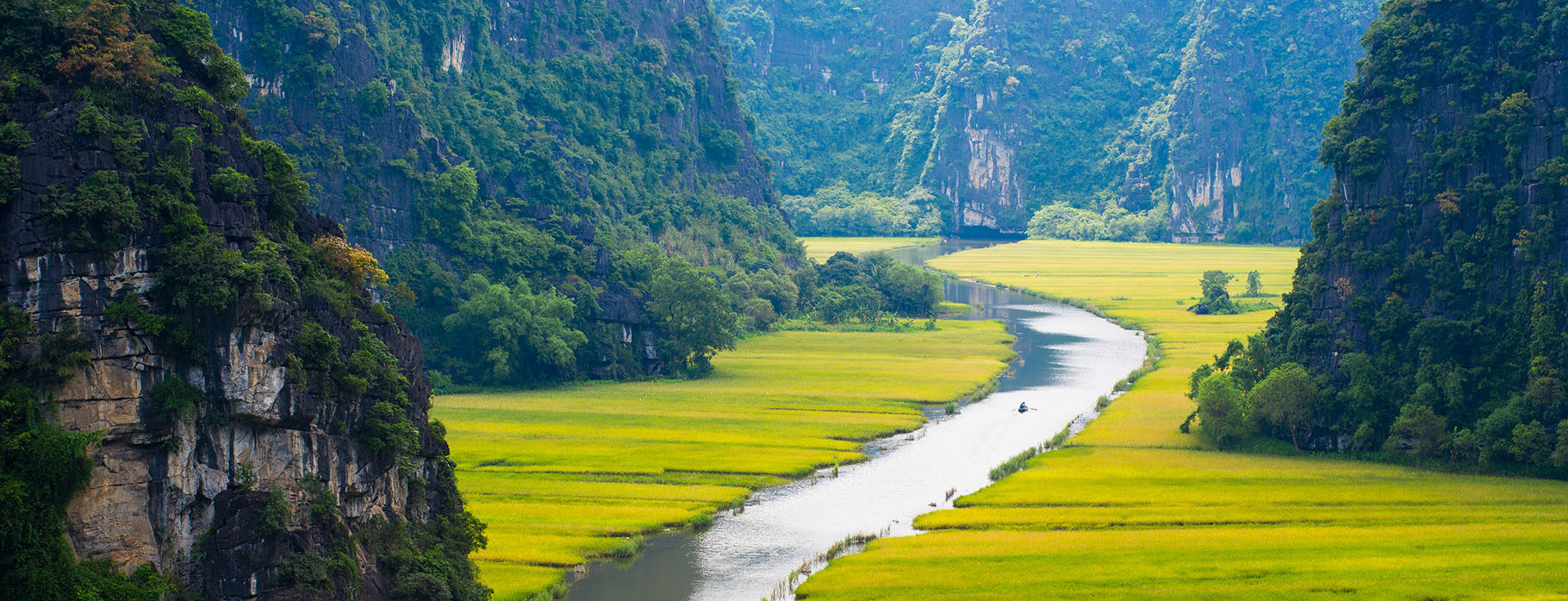 Rice field and river in TamCoc, NinhBinh, Vietnam