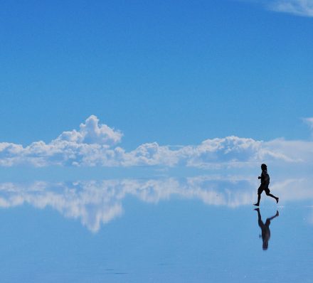 HEDIONDA / UYUNI
