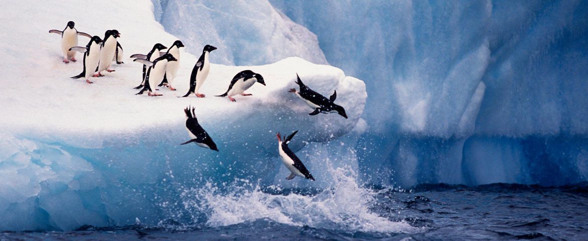 Iceberg at South Shetland Islands