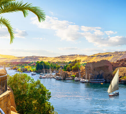 Nile Cruise - Aswan / Disembarkation at Aswan