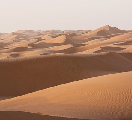 Wahiba Sands / Wadi Bani Khalid / Wahiba Sands