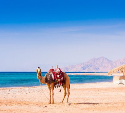 Hurghada Hurghada