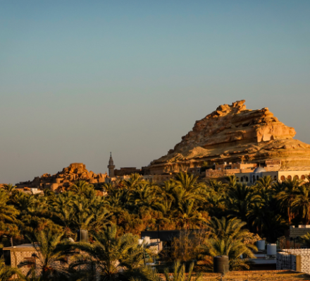 Cairo / Siwa Cairo / Siwa