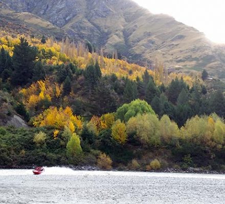 Queenstown