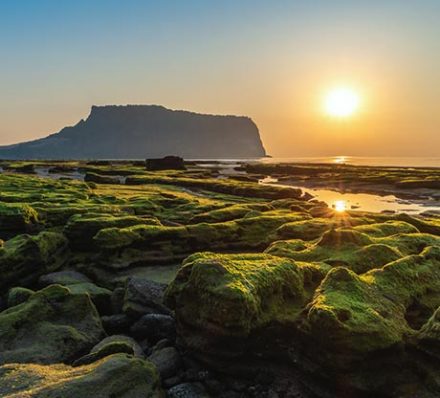Jeju