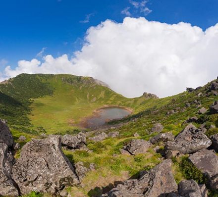 Jeju / Seoul