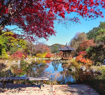 Seoul / Gapyeong / Seoul