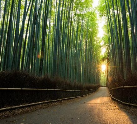 Kyoto