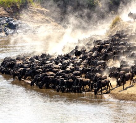 Serengeti