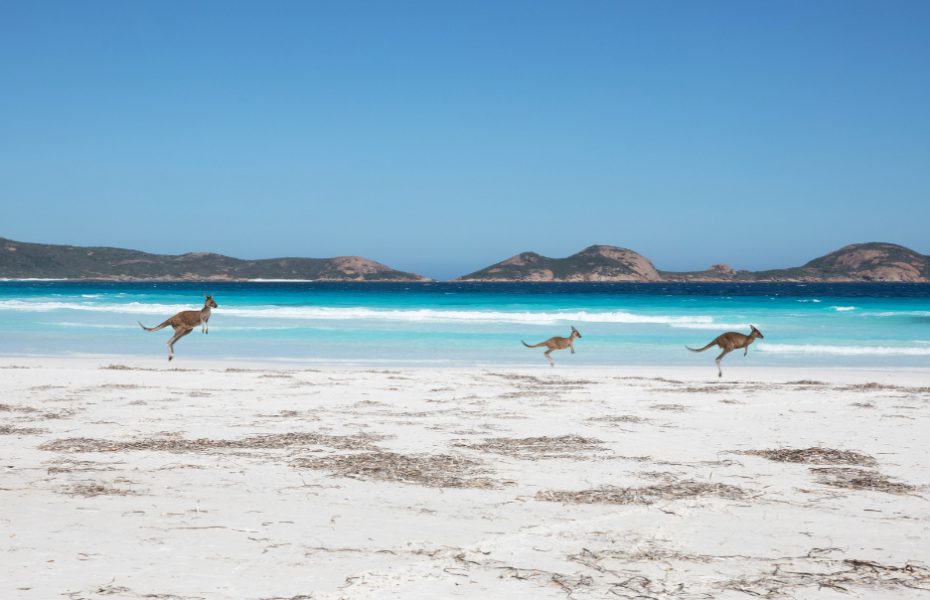Experience the road less taken: Dusty, Pink, and Wild side of off-the-beaten Australia
