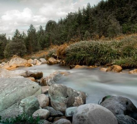 Cairngorms National Park / Departure From Edinburgh D9 Cairngorms - Stream