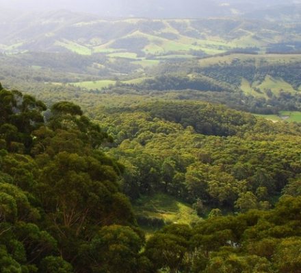 SYDNEY / SOUTHERN HIGHLANDS / SYDNEY Southern Highlands