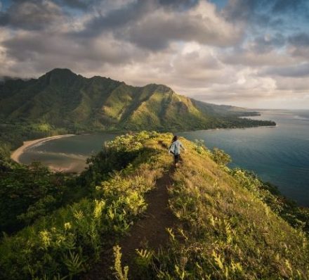 KAUAI / HAWAI’I D7 Hawaii