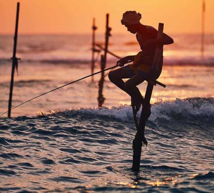 TANGALLE / COLOMBO