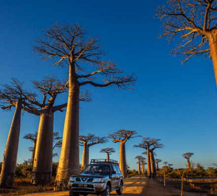 Tsingy de Namoroka / Morondava