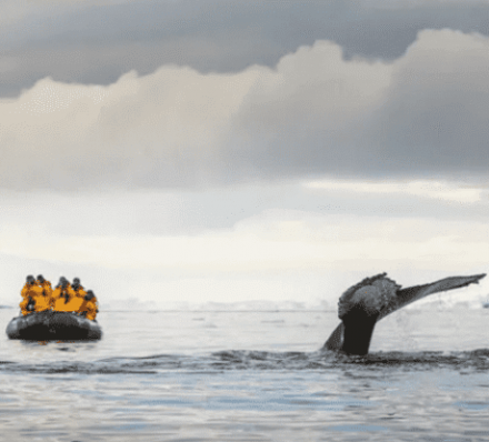Disembark King George Island / Punta Arenas