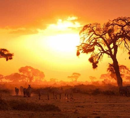 Maasai Mara