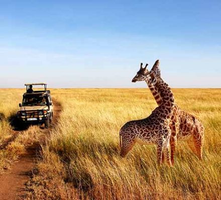 Grumeti Game Reserve / Serengeti