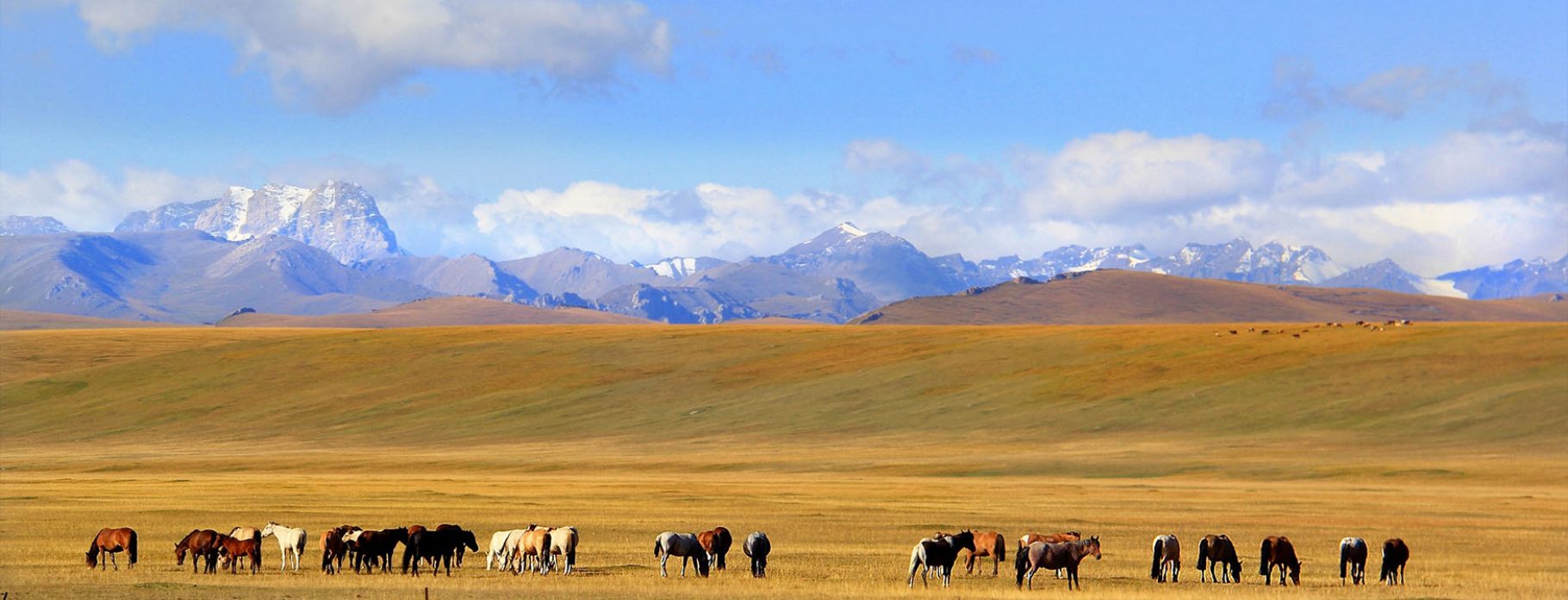Overview of China Silk Road