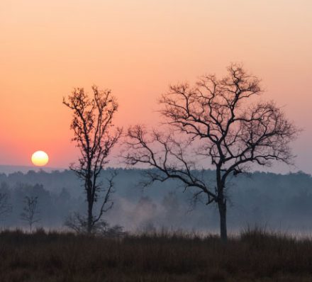 Bandhavgarh to Kanha