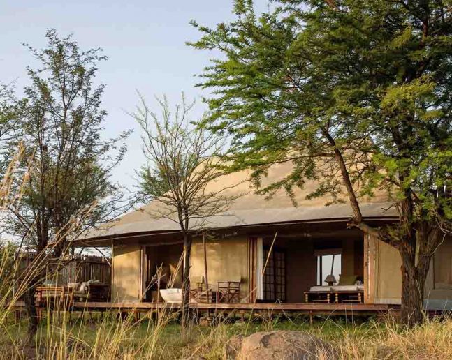 Serengeti (River Crossing Season)