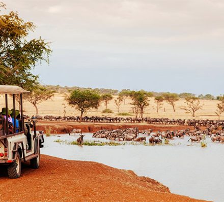 Grumeti Game Reserve