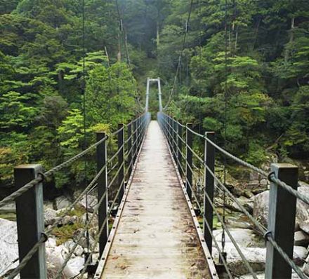 Departing Yakushima Island
