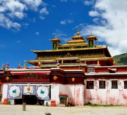 LHASA / SHANNAN LHASA / SHANNAN