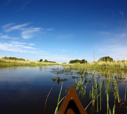Departure from Okavango Delta