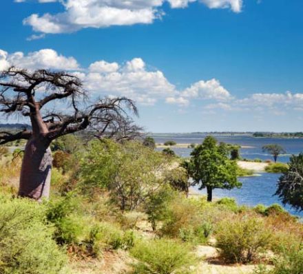 Victoria Falls / Savute
