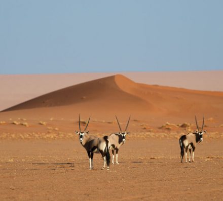 Sossusvlei