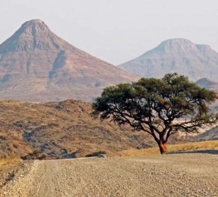 Damaraland