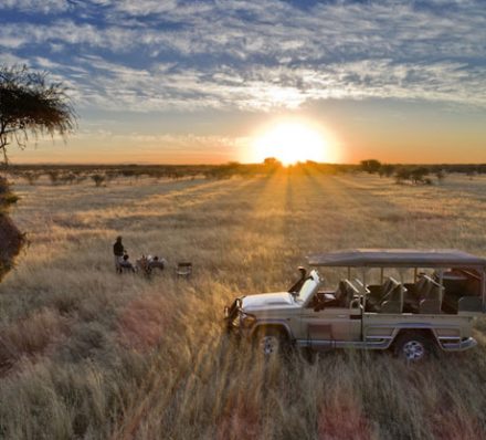 Etosha / Departure from Windhoek