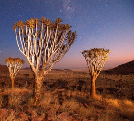 Windhoek / Sossusvlei