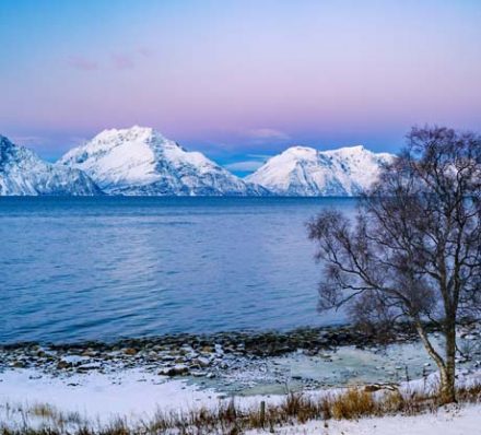DEPARTURE FROM LYNGENFJORD