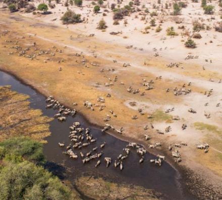 MAKGADIKGADI