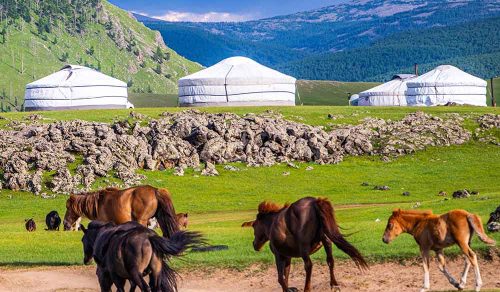 9 DAYS THE NOMADIC TRAILS OF MONGOLIA (12 – 20 AUG 2027) *Confirmed Departure*