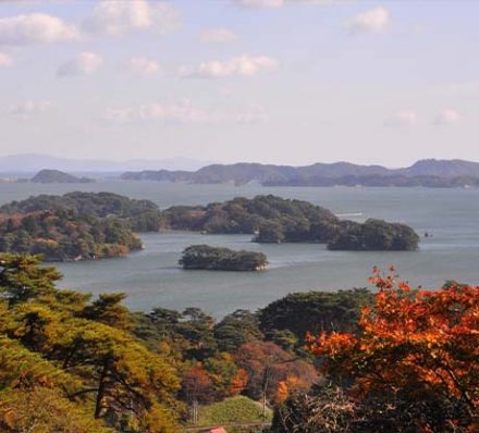 Sendai / Ichinoseki or Hanamaki