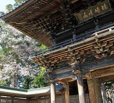 Otsuchu or Miyako / Tokyo