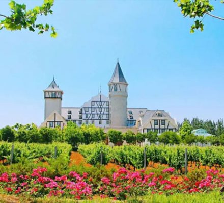 Yantai Yantai