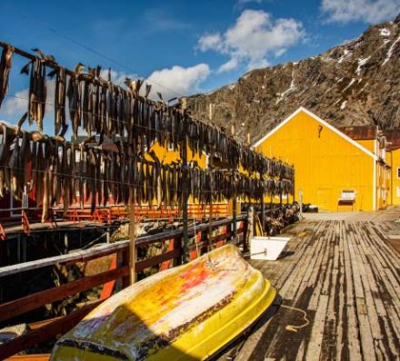 Lofoten Islands