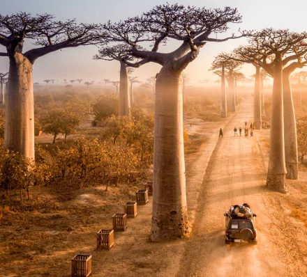 Morondava