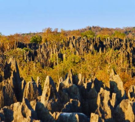 Tsingy de Namoroka