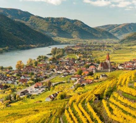 Vienna