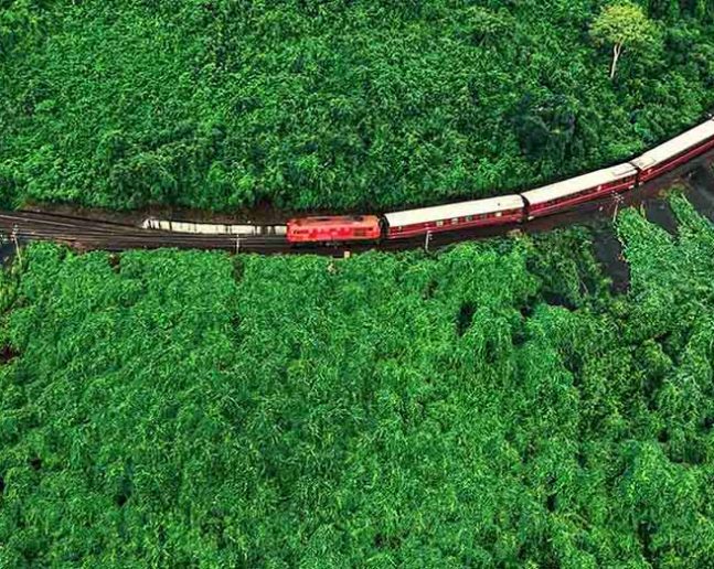 SJourney Train