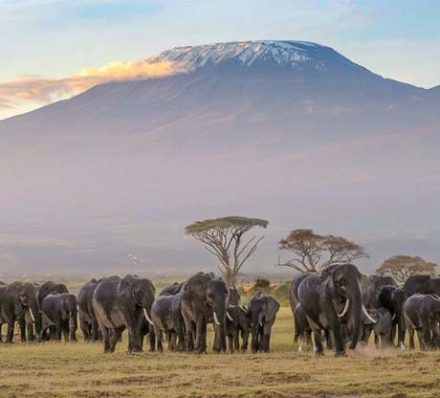 Amboseli