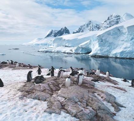 13 DEC 2026 (SUN) KING GEORGE ISLAND / PUERTO WILLIAMS