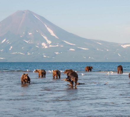 12 AUG 2026 (WED) KAMCHATKA